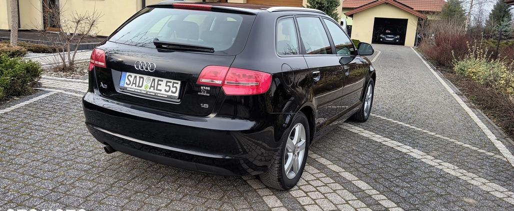 Audi A3 cena 25900 przebieg: 197258, rok produkcji 2009 z Kętrzyn małe 301